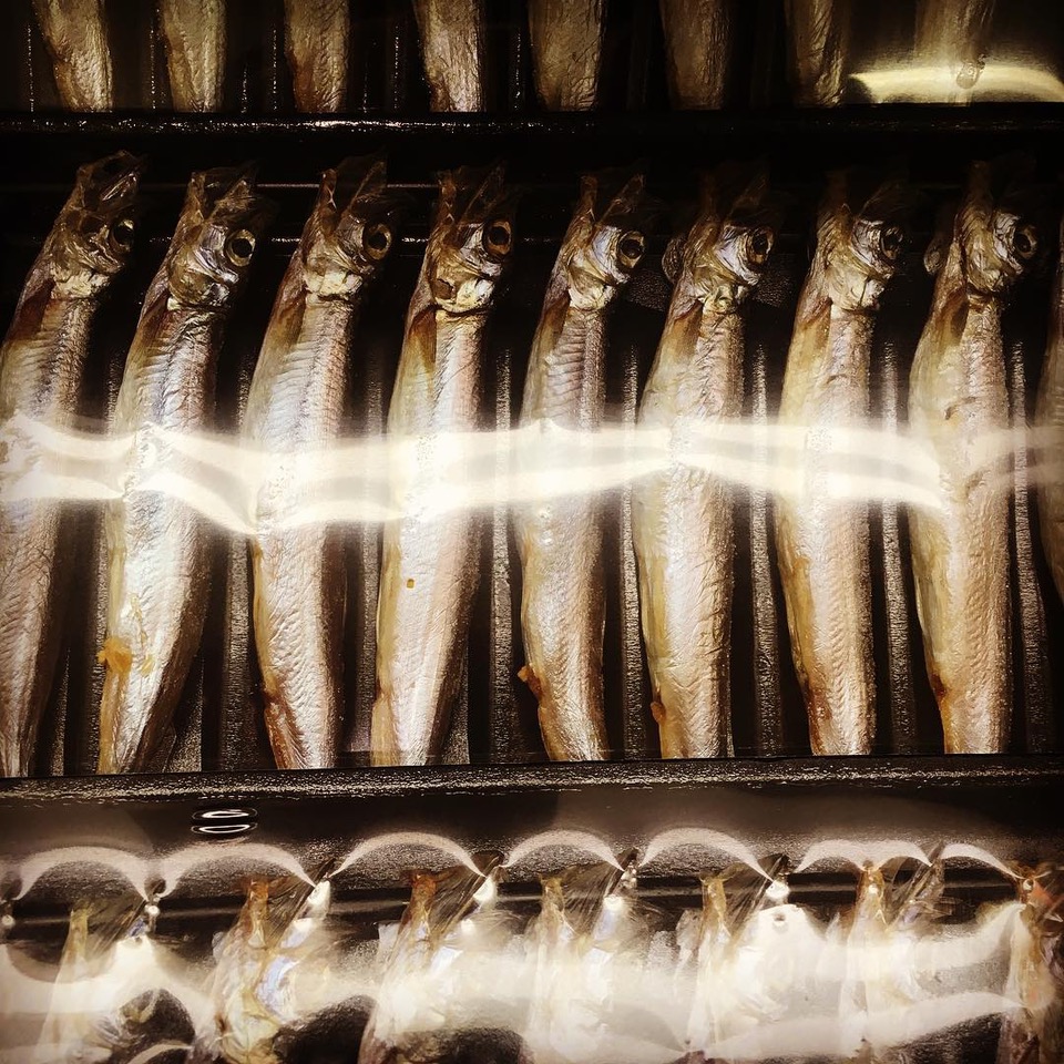 Rows of silver fish crossed by reflected light