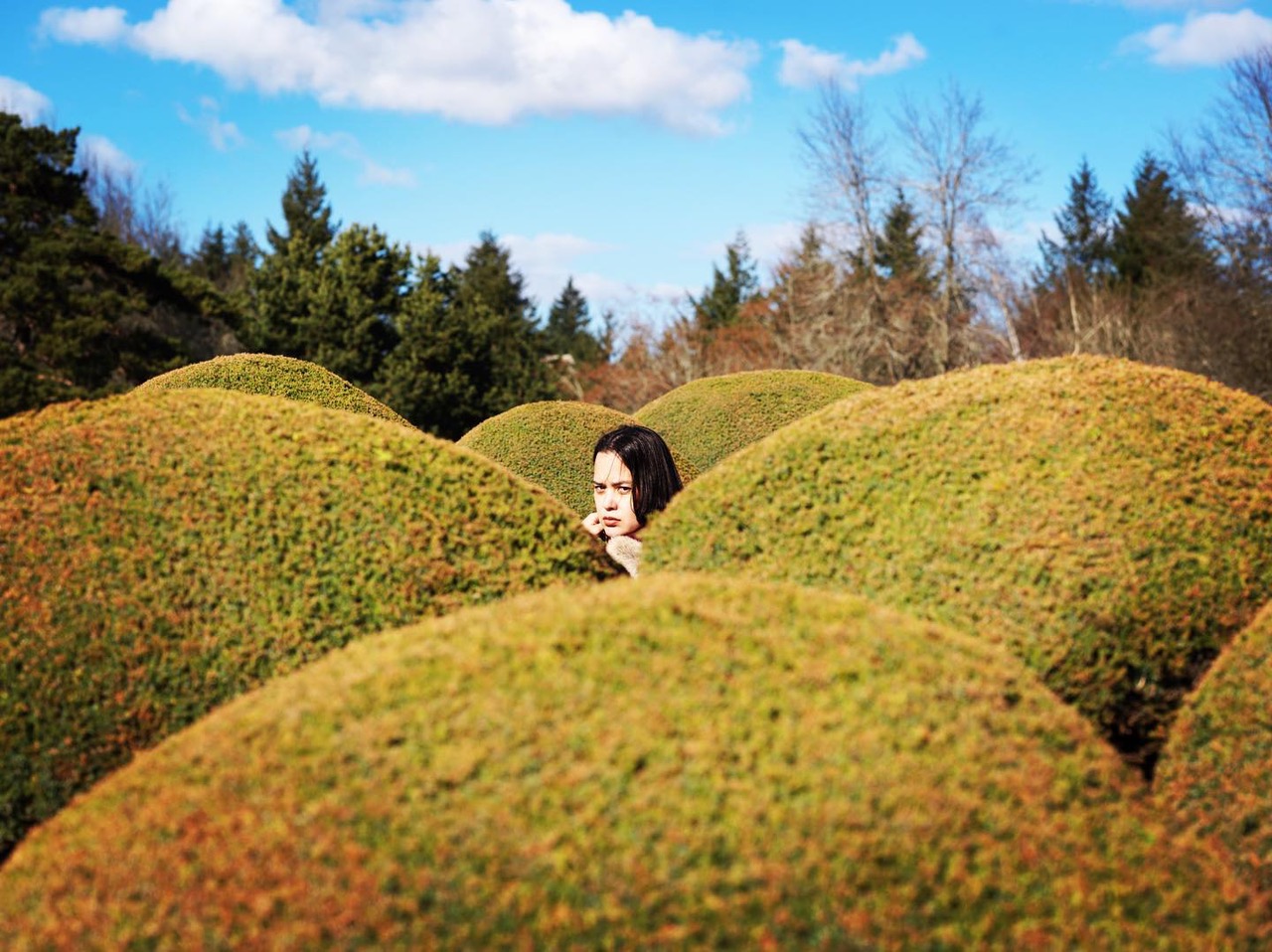 A person framed by rounded green shrubs beneath a blue sky