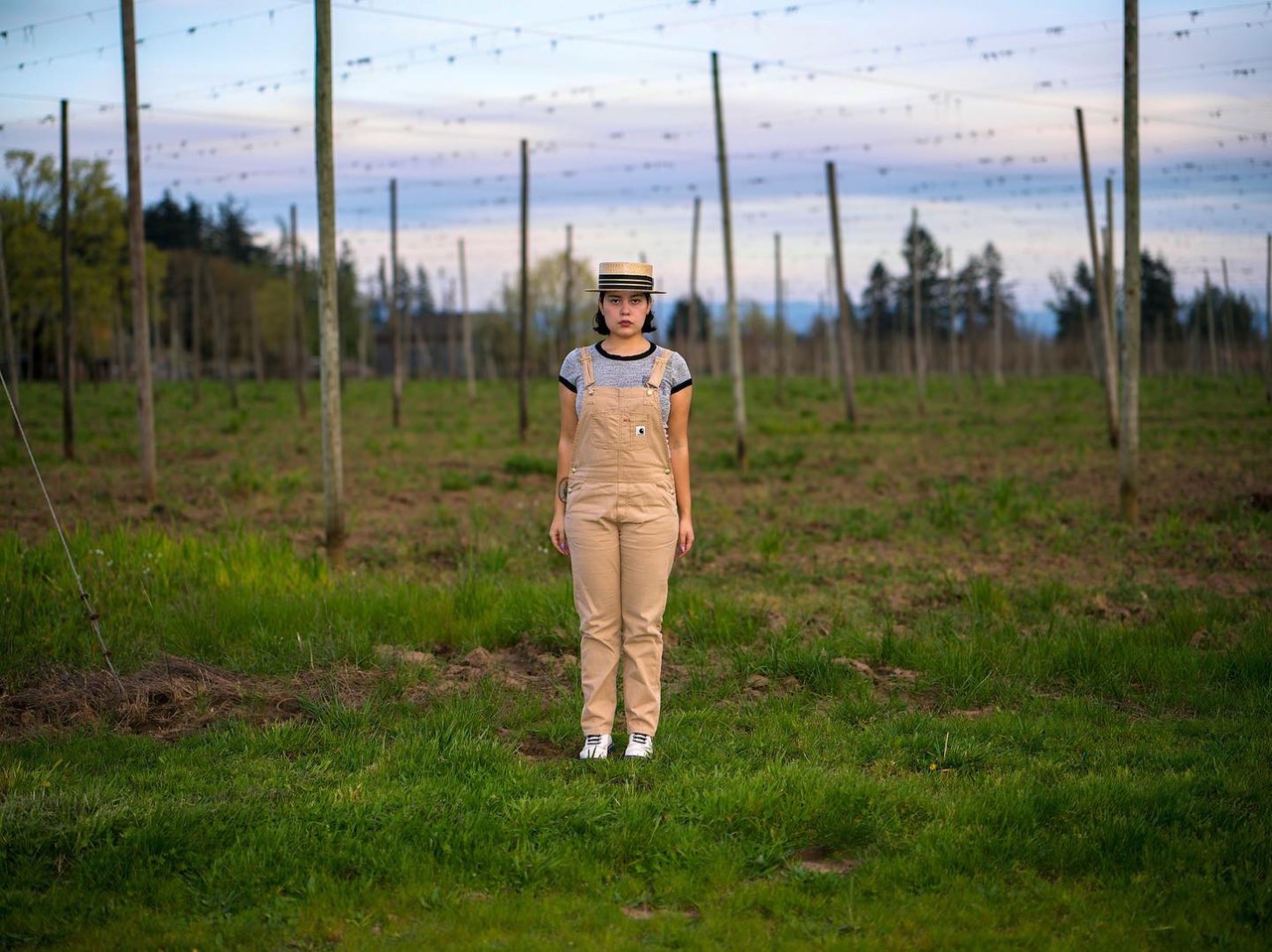 A person standing among the poles and wires of a hop field