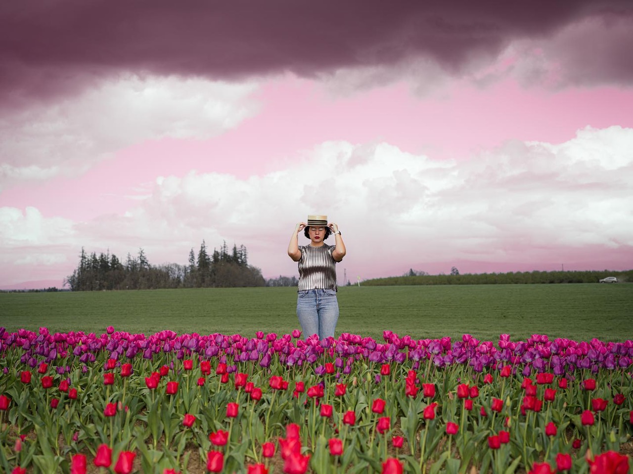 A person standing in a field of red and pink tulips beneath a pink sky