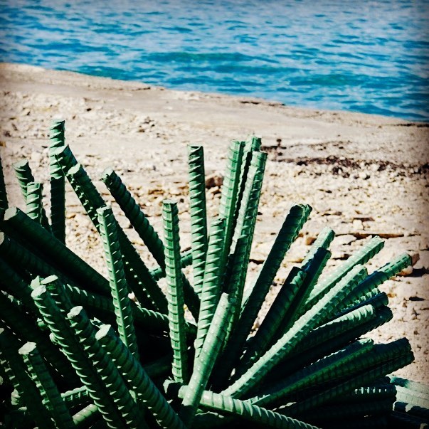 Green ribbed rods fanning outward beside a pale shoreline and blue water
